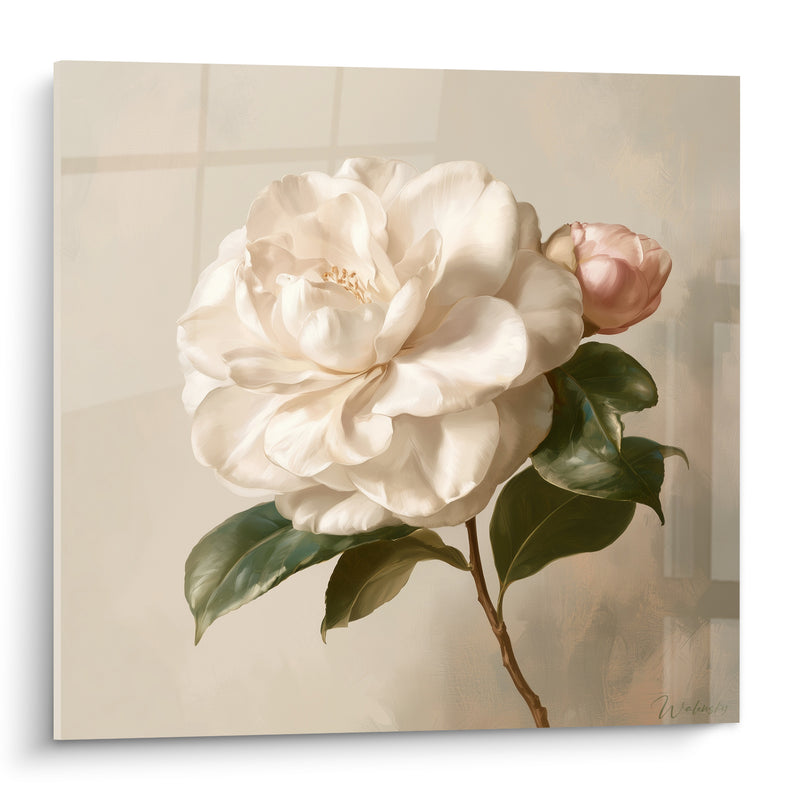 Tableau Camélia blanc aux feuilles vert foncé - Éveil délicat - Edition Camélia