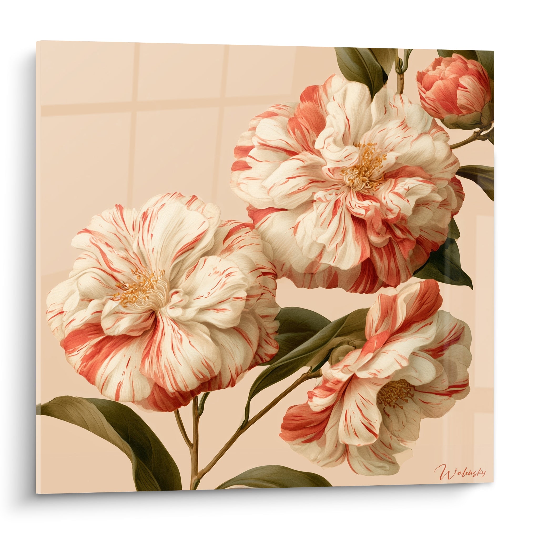 Camélias blancs striés de corail aux cœurs dorés, sur fond beige rosé texturé
