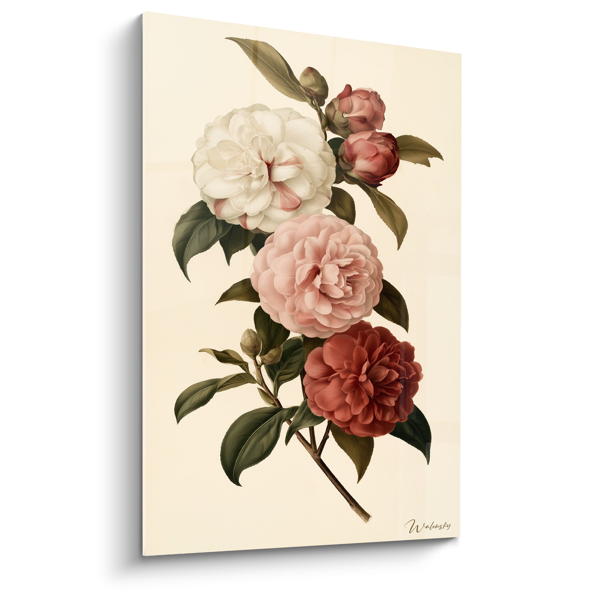 Camélias blancs, roses et rouge bordeaux sur branche verte, fond ivoire style botanique ancien