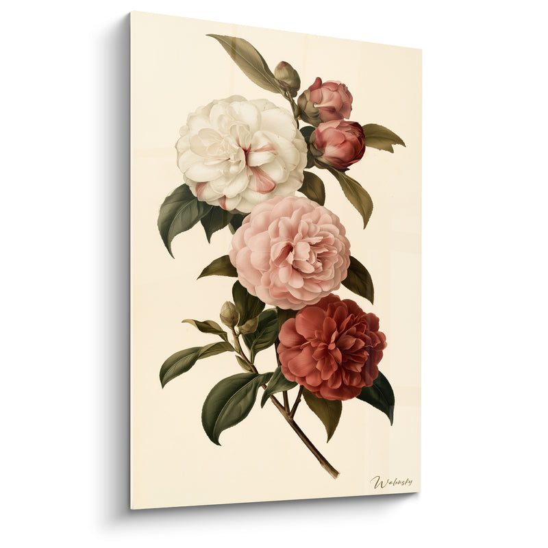 Tableau Camélias blancs et bordeaux sur branche fleurie - Boutons entrouverts groupés - Edition Camélia