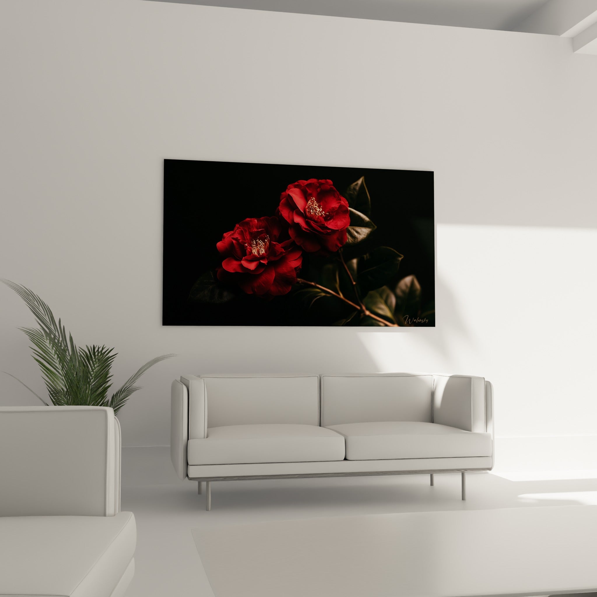 Fleurs de camélia rouge et noir disposées au-dessus d'un canapé dans un salon lumineux