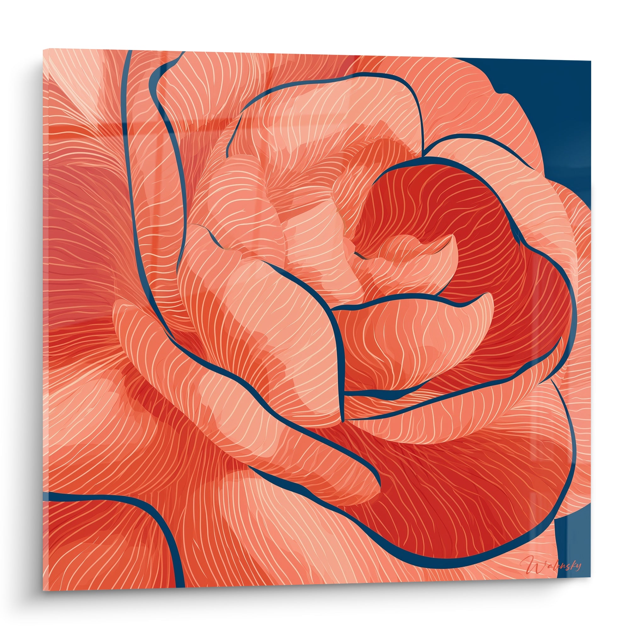 Camélia corail aux pétales sinueux cernés de bleu marine, cœur rouge brique en spirale centrale