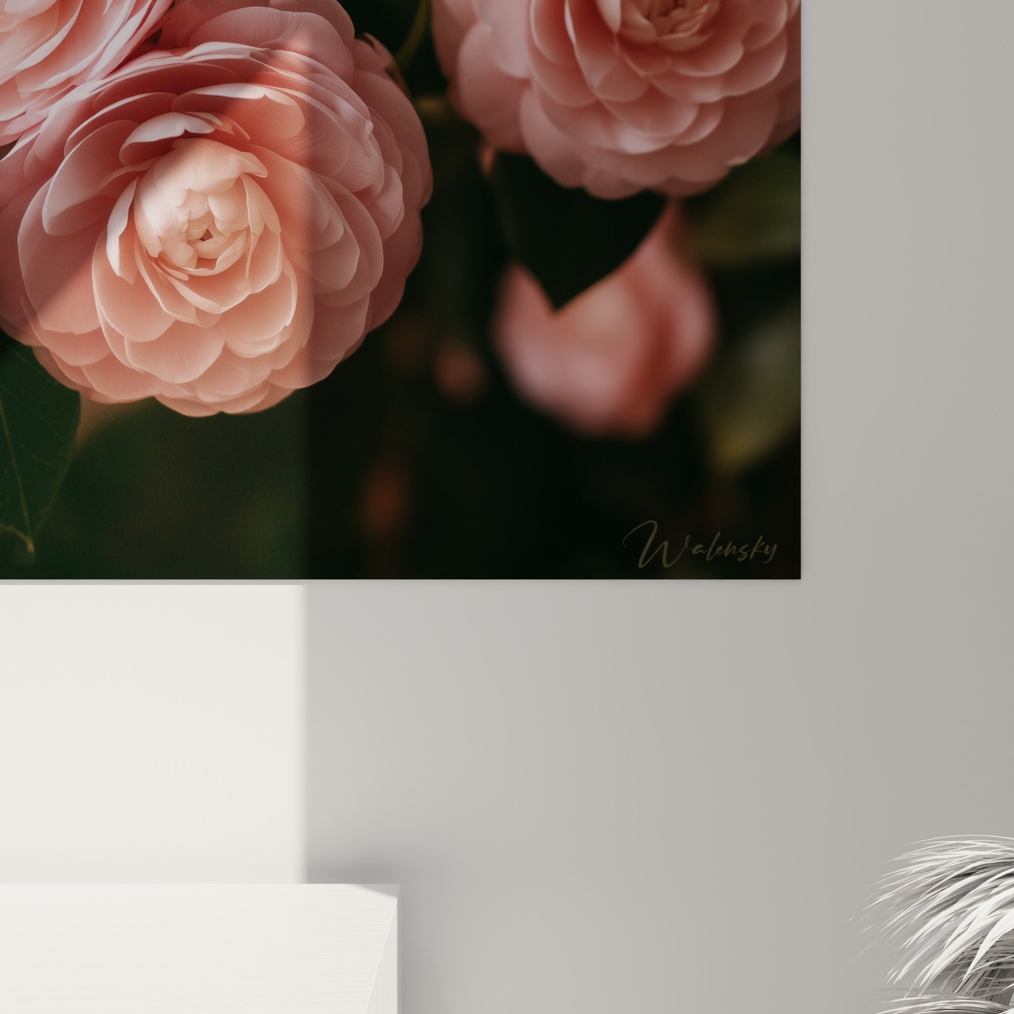 Détail des pétales de camélia rose pâle, grain soyeux et coulures de lumière sur fond vert anthracite