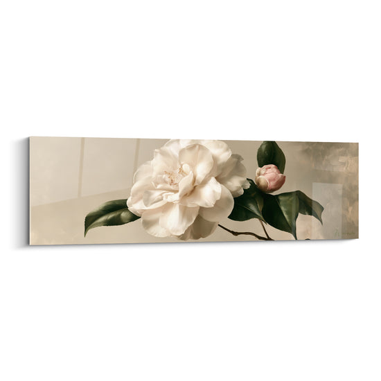 Camélia blanc aux pétales ouverts et bouton rose sur fond beige, feuilles vert sombre