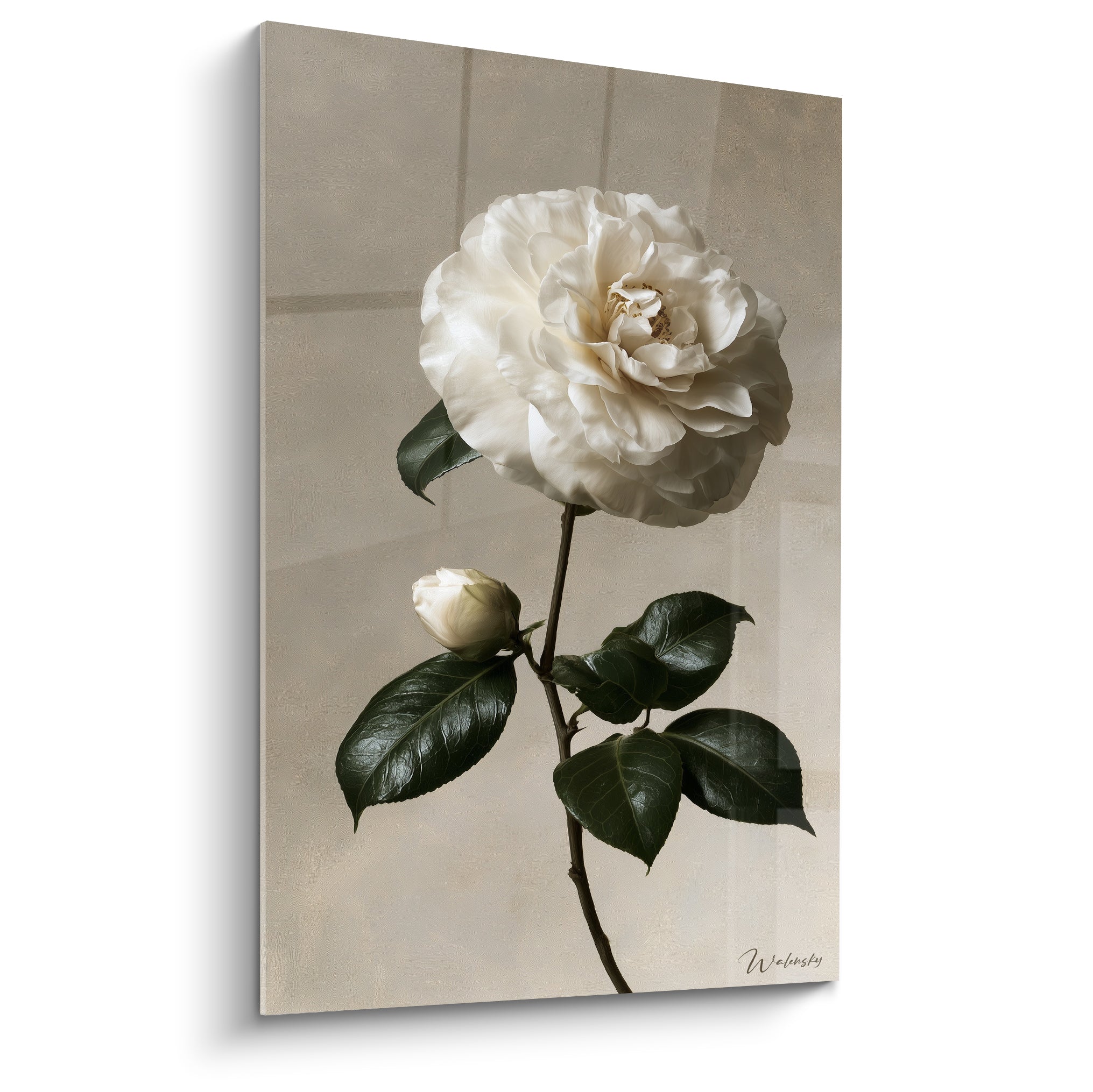 Camélia blanc aux pétales délicats et feuilles vert sombre sur fond beige texturé