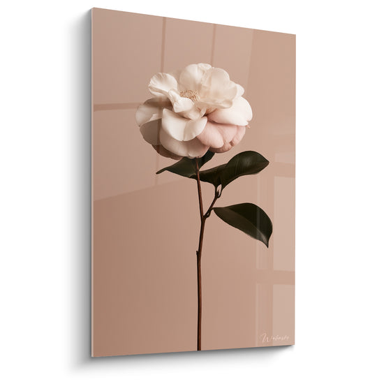 Camélia blanc aux pétales froissés sur fond terracotta uni, tige et feuilles vert sombre visibles