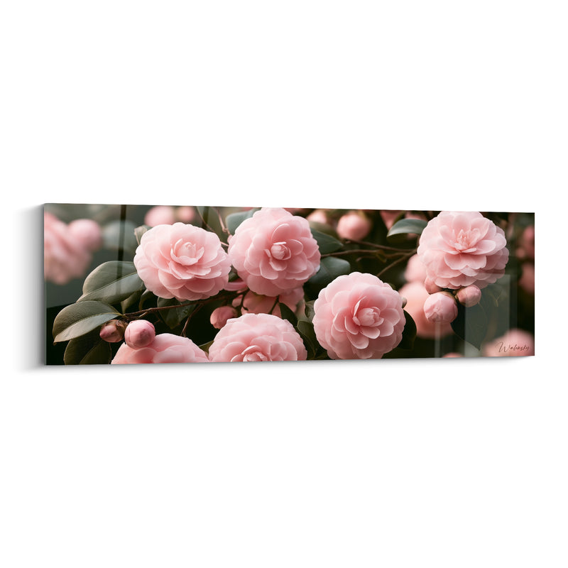 Tableau Camélias rose pâle et vert profond en grappe dense - Bourgeons ronds serrés - Edition Camélia