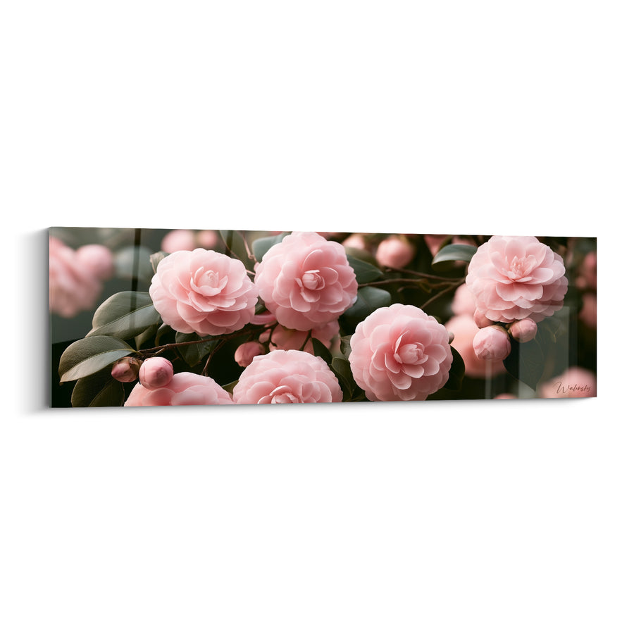 Tableau Camélias rose pâle et vert profond en grappe dense - Bourgeons ronds serrés - Edition Camélia