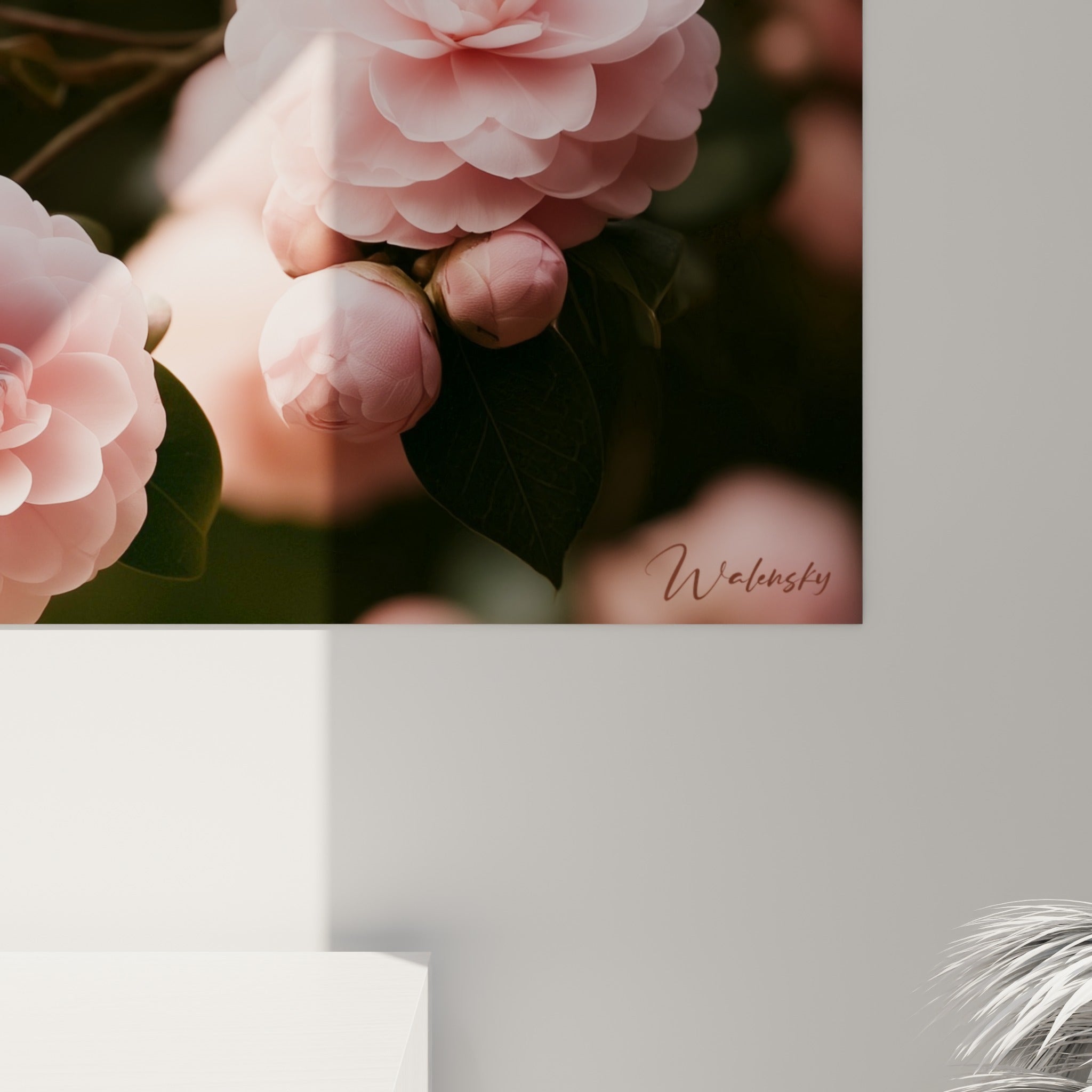Pétales nacrés du camélia rose révèlent leur grain satiné et leurs nuances corail à faible distance