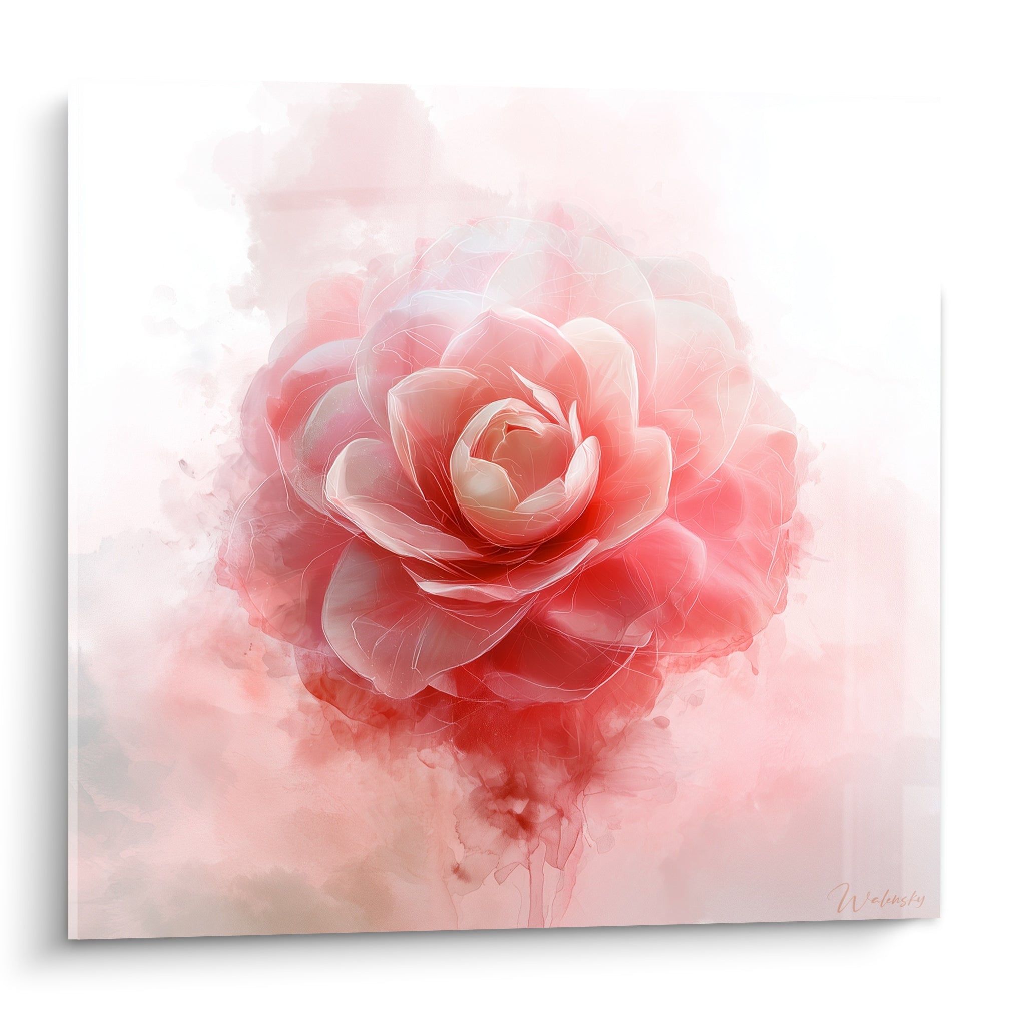 Camélia rose et blanc en fleur, pétales détaillés sur fond aquarelle diffus rouge pâle