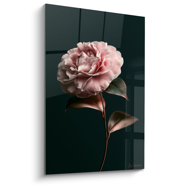 Tableau Camélia rose et vert sur fond anthracite - Tige élancée solitaire - Edition Camélia