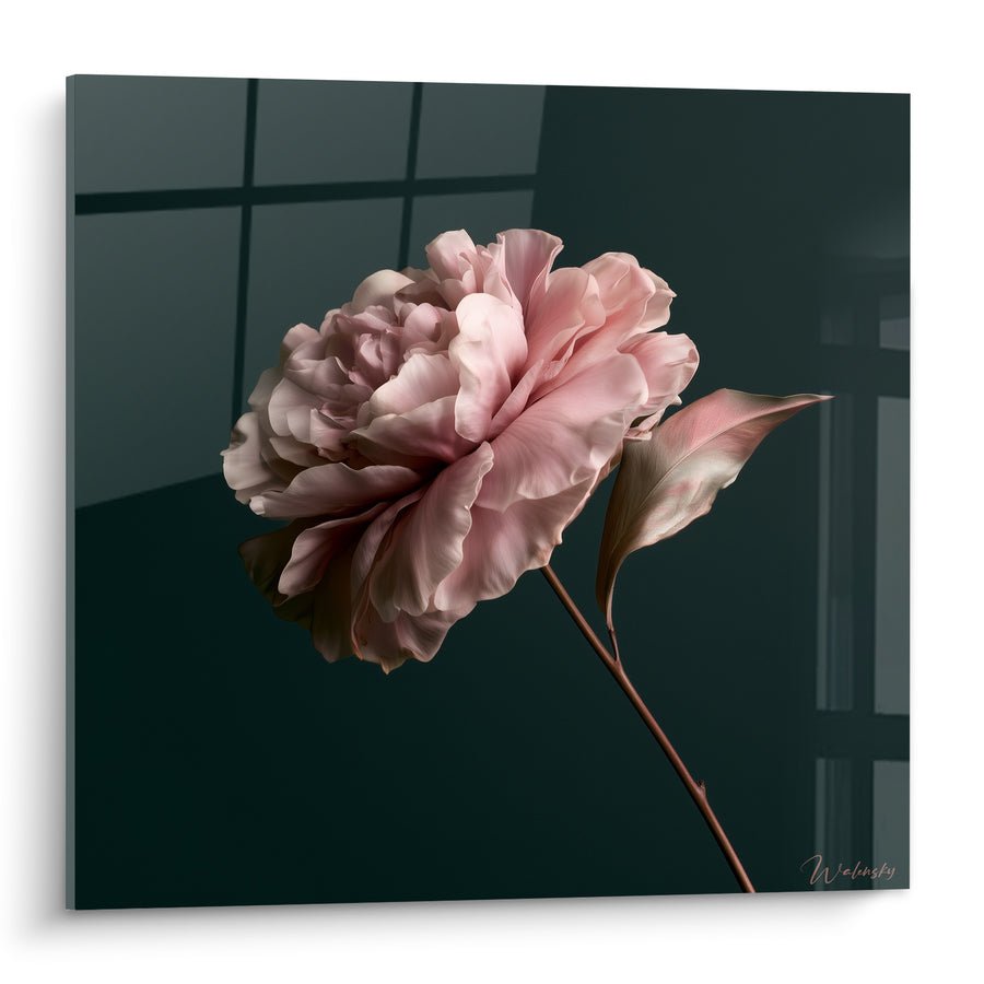 Tableau Camélia rose aux pétales veloutés - Élégance feutrée - Edition Camélia