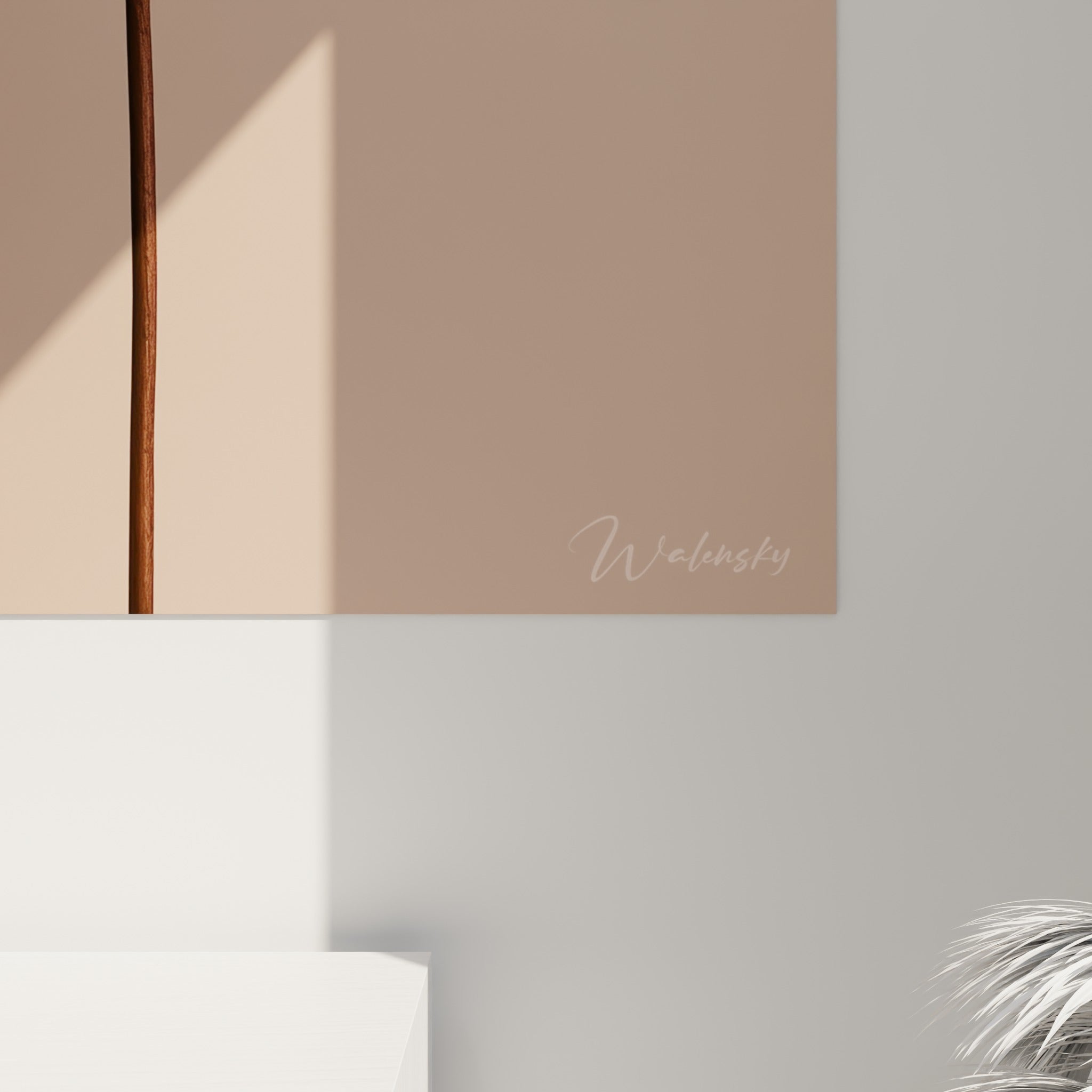 Pétales de camélia blanc crème texturés, coulures de lumière douce sur le fond terracotta granuleux