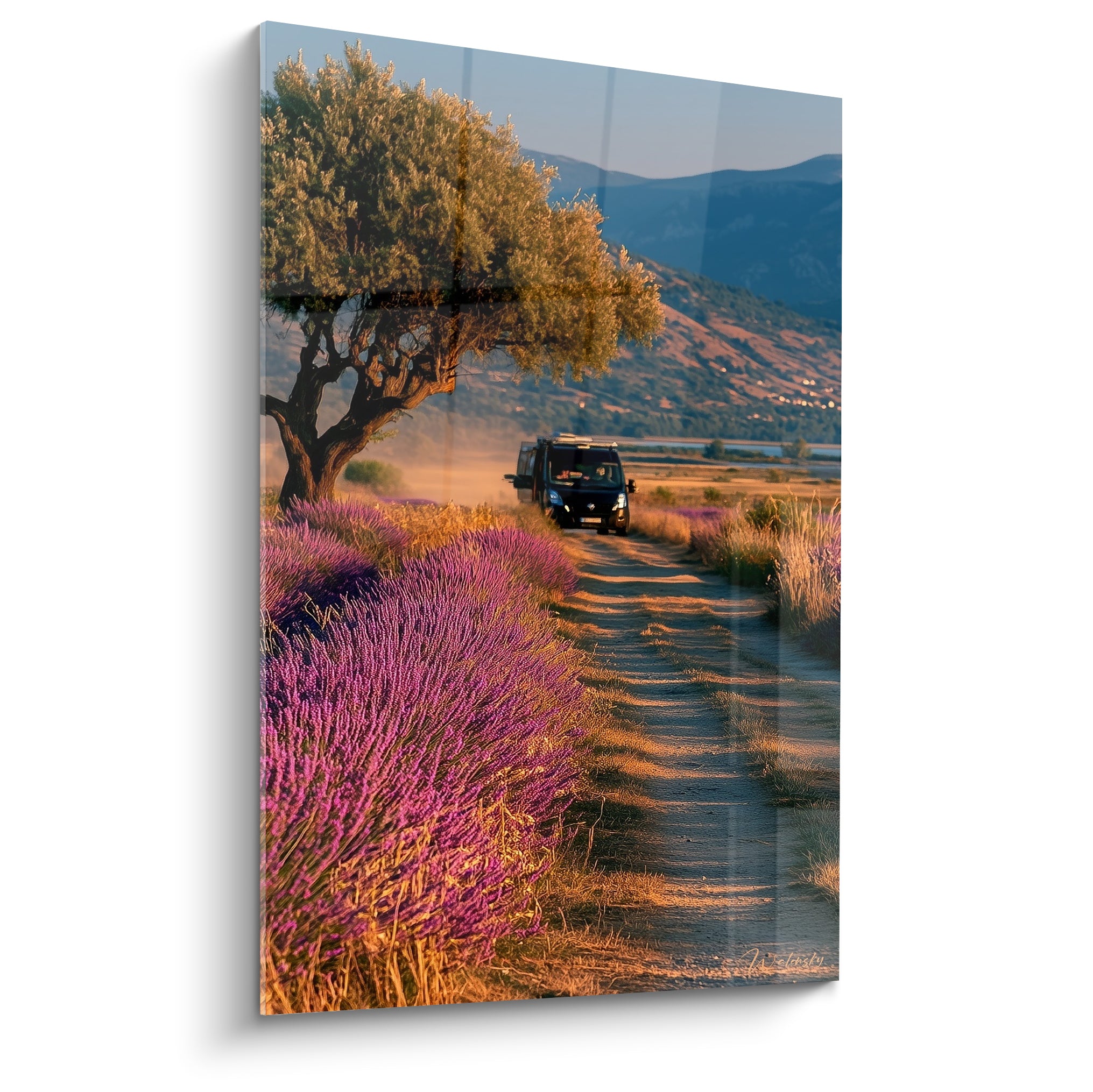 Van noir file sur un chemin de terre ocre entre champs de lavande violette et olivier