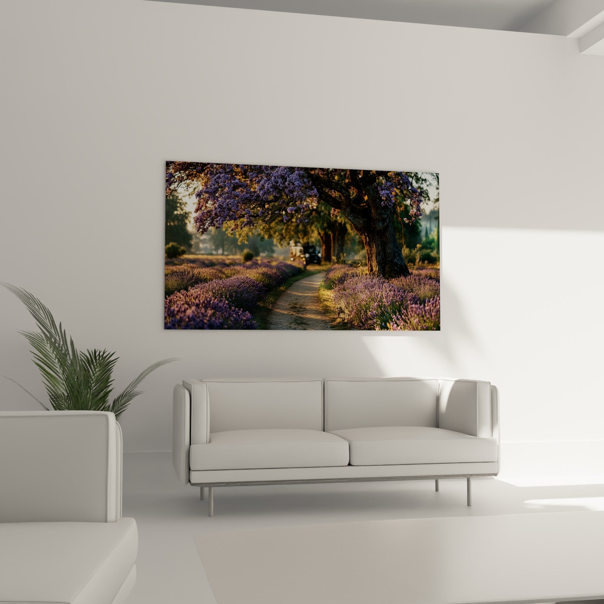 Rangs de lavande pourpre et arbre fleuri encadrant un van, au-dessus d'un canapé dans un salon lumineux