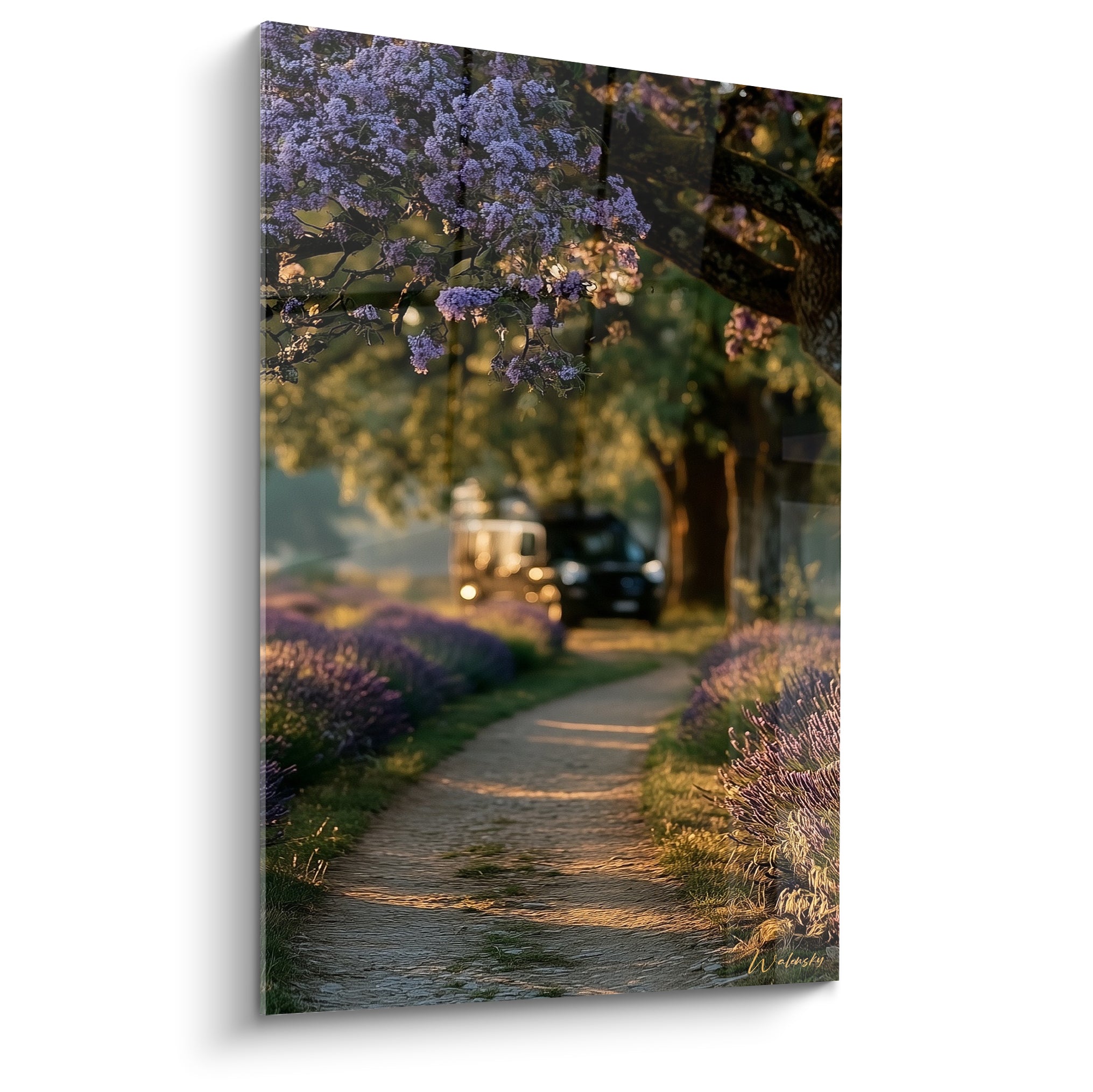 Chemin de pierre bordé de lavande violette et lumière dorée, van flou en arrière-plan