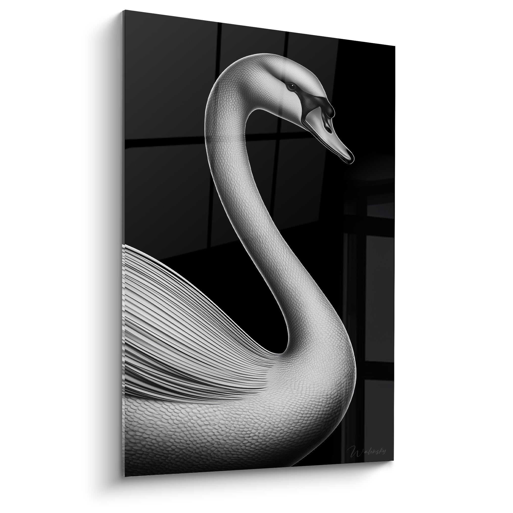 Cygne argenté au cou courbé se détachant sur un fond noir profond et structuré