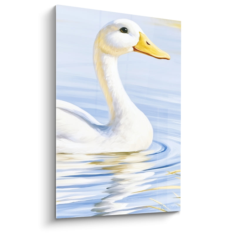 Tableau Cygne blanc et bleu pâle sur eau tranquille - Roseaux dorés flottants - Edition Canard
