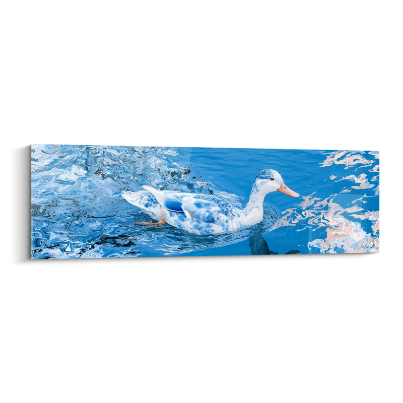 Tableau Canard blanc et bleu marbré au bec orangé - Reflets rosés sur l'eau - Edition Canard