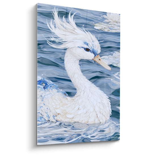 Canard blanc au plumage bleu marine et bec ocre, huppe dressée sur une eau ondulante