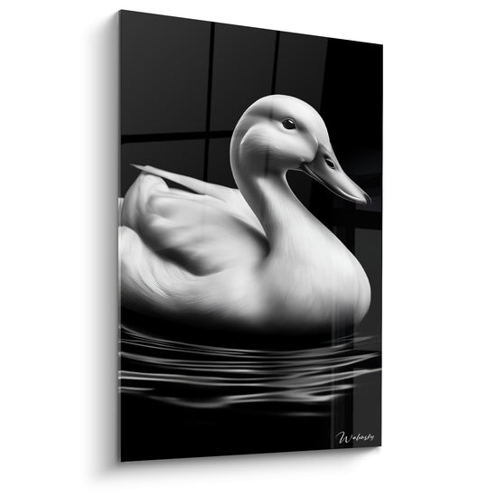 Canard blanc au plumage soyeux flottant sur une eau anthracite, tête tournée vers la droite