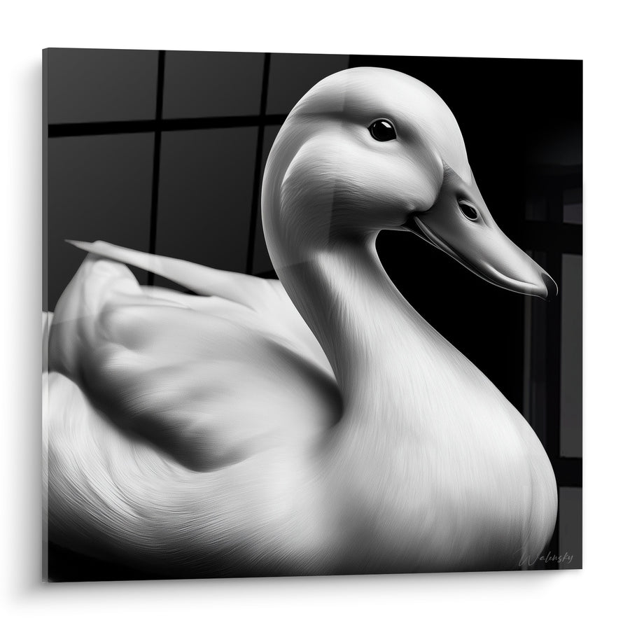 Tableau Canard blanc au fond anthracite quadrillé - Élégance immobile - Edition Canard
