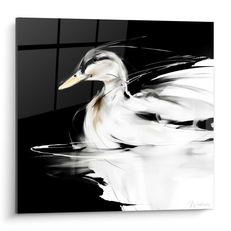 Tableau Canard blanc noir sur eau sombre - Glisse silencieuse - Edition Canard