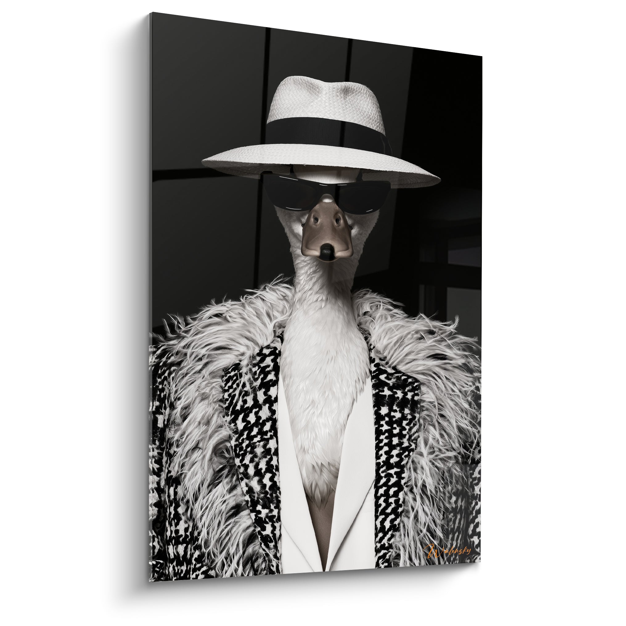 Canard en manteau à chevrons, chapeau blanc et lunettes noires, fond anthracite profond