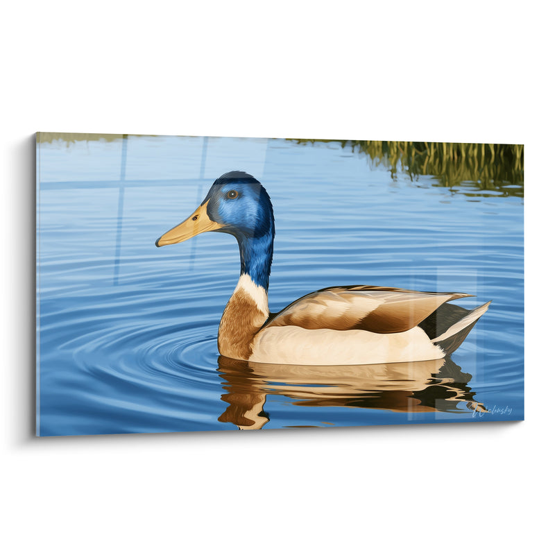 Tableau Canard colvert bleu et beige sur eau - Glisse tranquille - Edition Canard