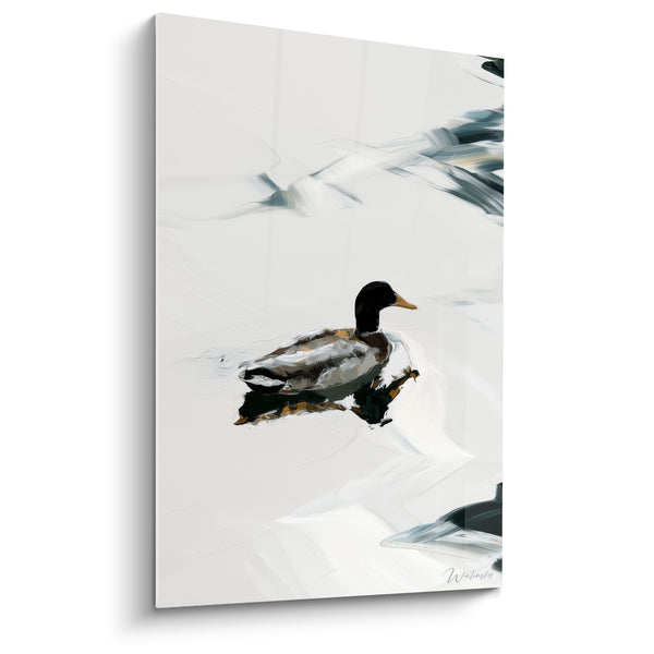 Dabbling Duck Black and White on Pristine Water - Winter Isolation - Canard Edition