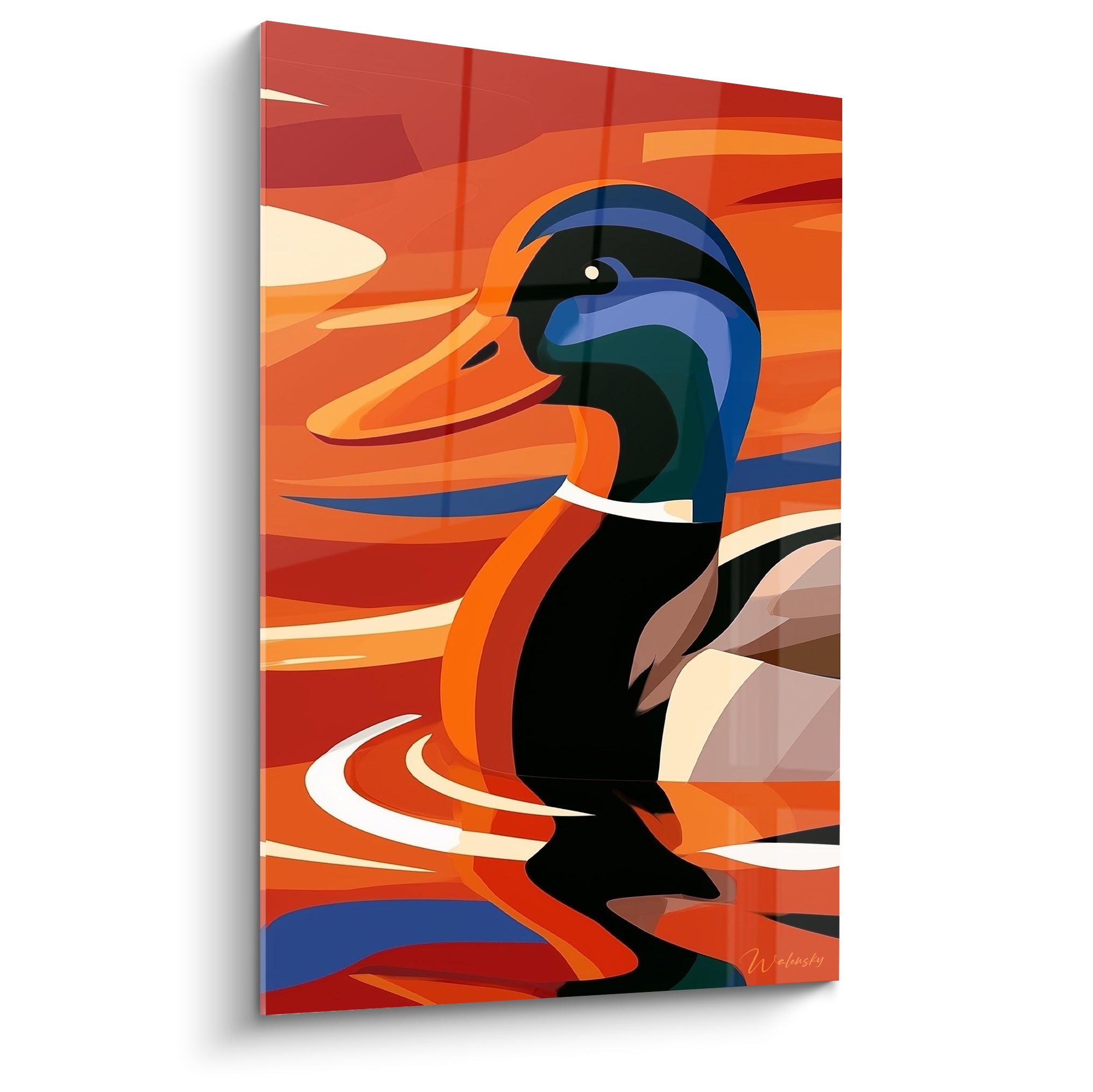 Canard colvert de profil aux couleurs orange vif et bleu marine sur fond de coucher de soleil