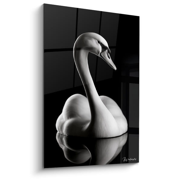 White and Black Swan Painting with Long Inclined Neck - Reflection on Glass Surface - Canard Edition