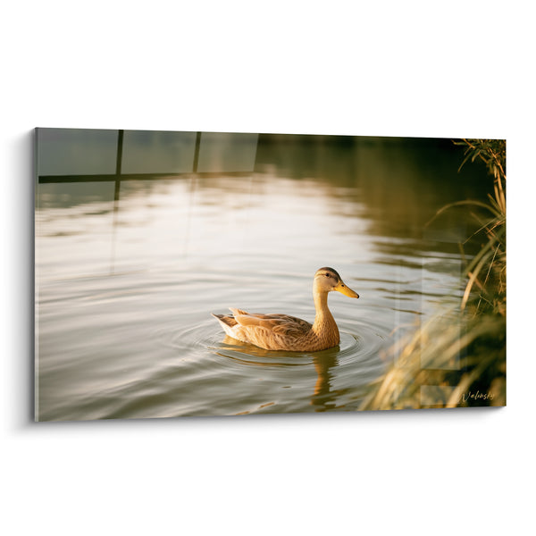 Gemälde Wildente braun und beige in der Nähe von Schilf - Hohes Gras am Ufer - Enten-Edition