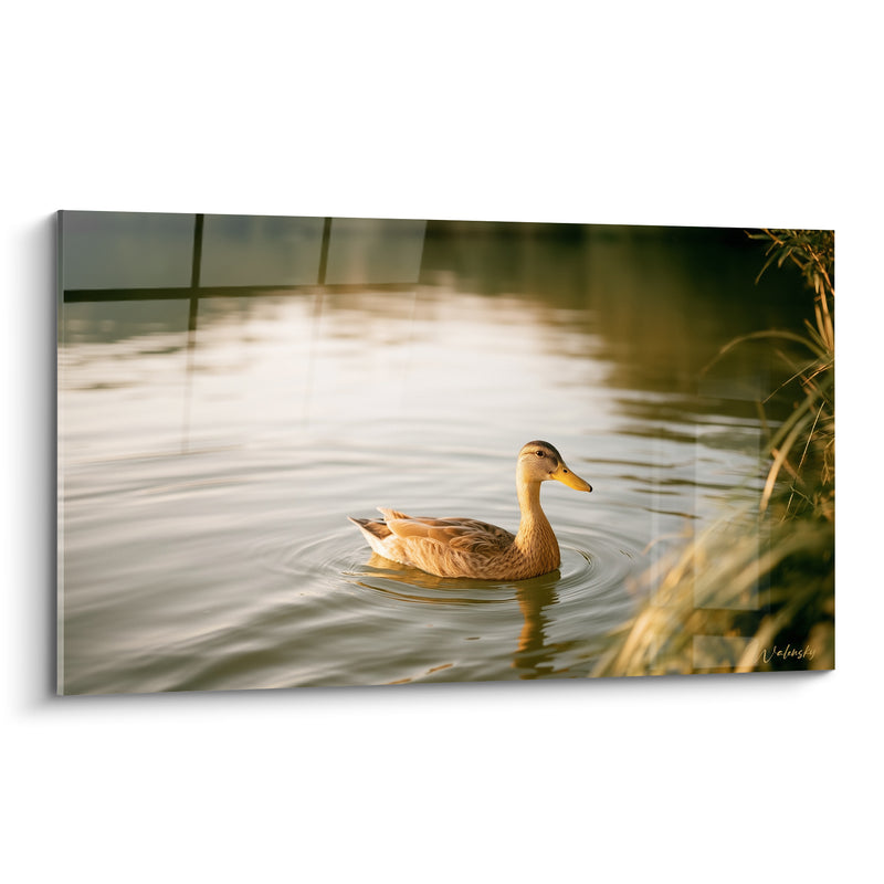 Tableau Colvert femelle brun et beige près des roseaux - Herbes hautes en bordure - Edition Canard
