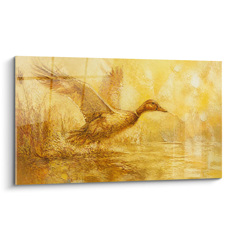 Tableau Canard monochrome ambré et brun jaillissant des roseaux - Sillage argenté sur l'eau - Edition Canard