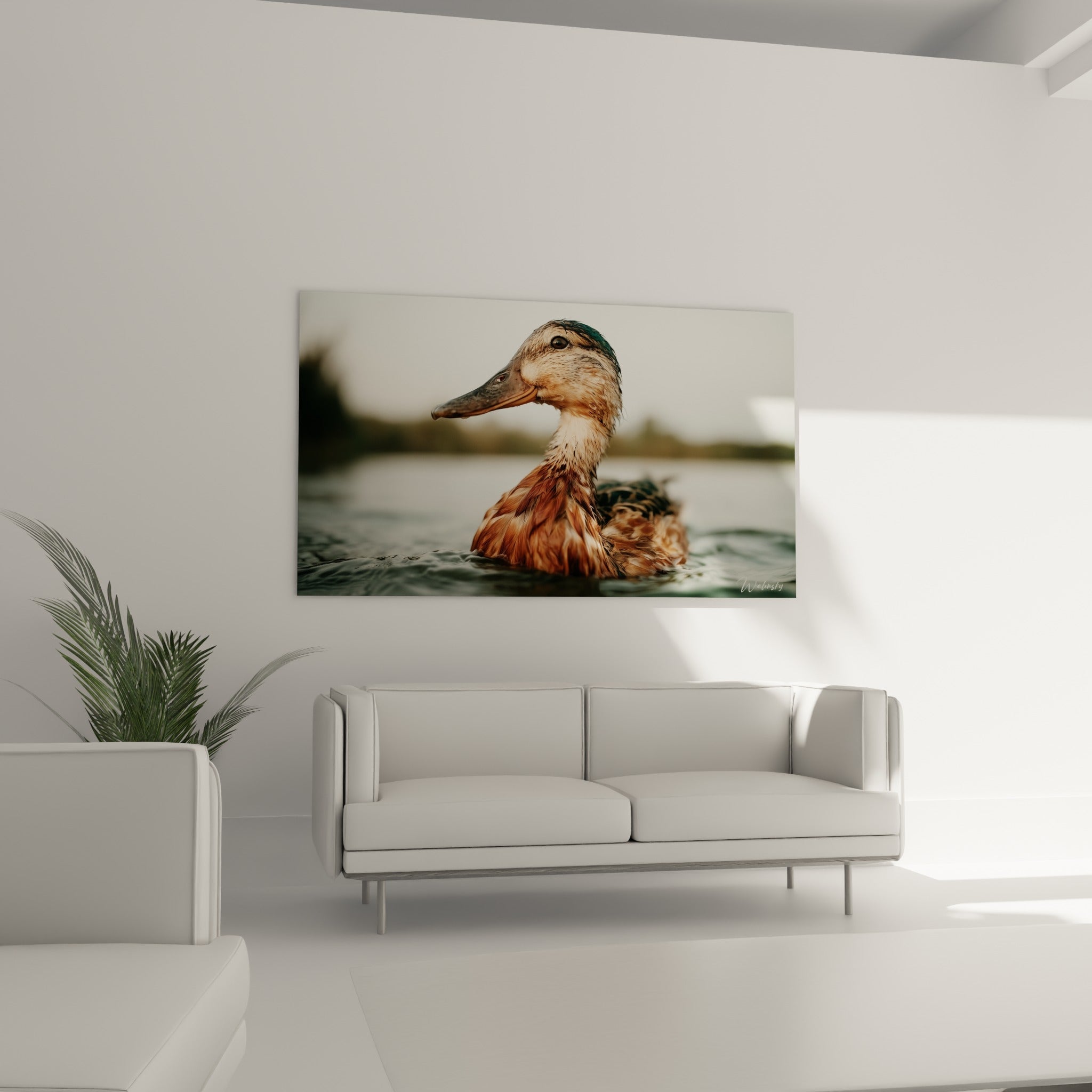 Canard fauve à l'œil sombre et perçant, disposé au-dessus d'un canapé dans un salon lumineux