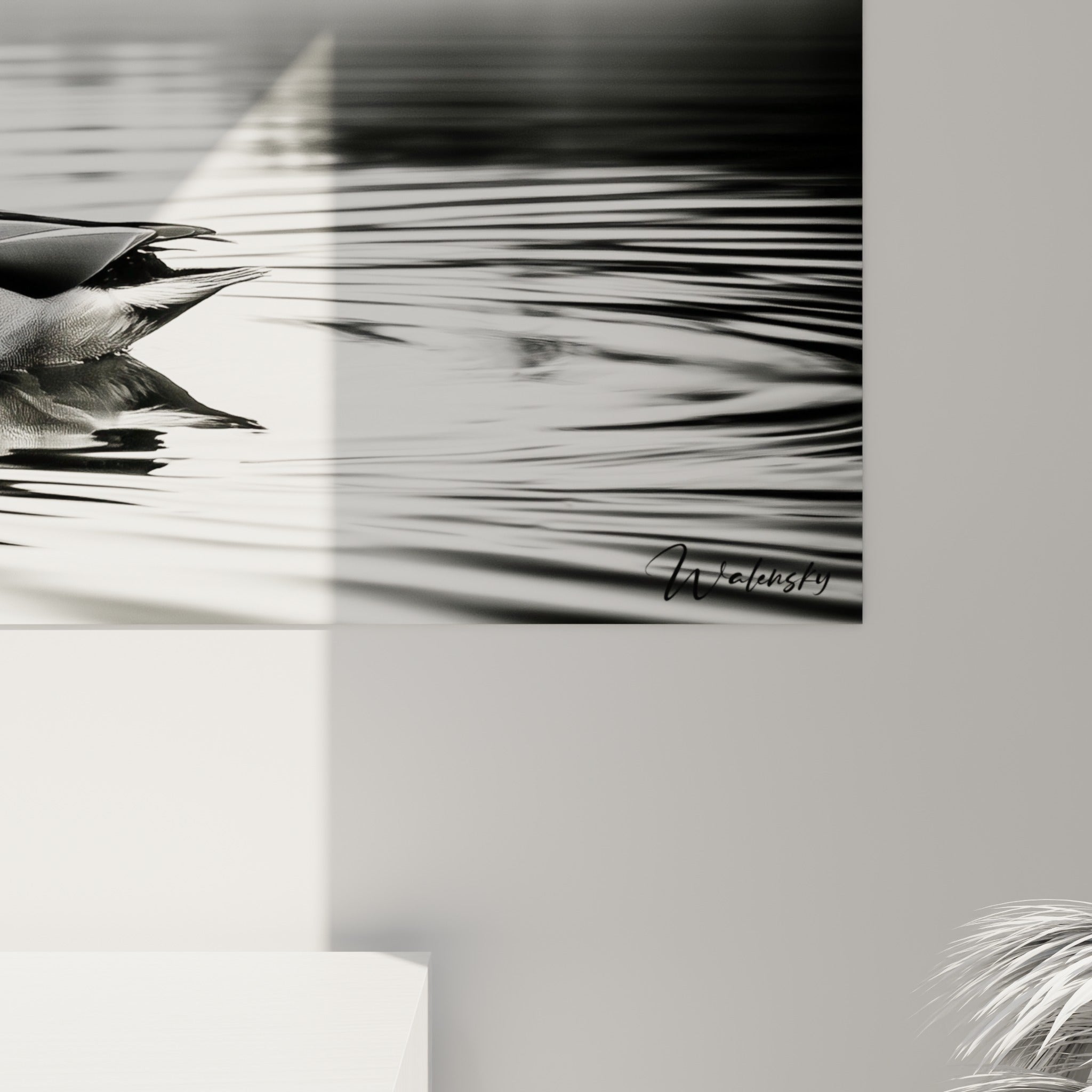 Détail du plumage gris et des ondulations blanches capturant le grain fin de l'impression photographique