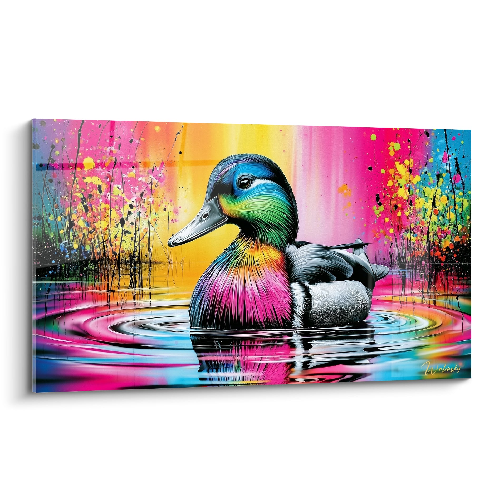 Canard irisé bleu et rose flottant sur une eau aux reflets jaune doré éclaboussés
