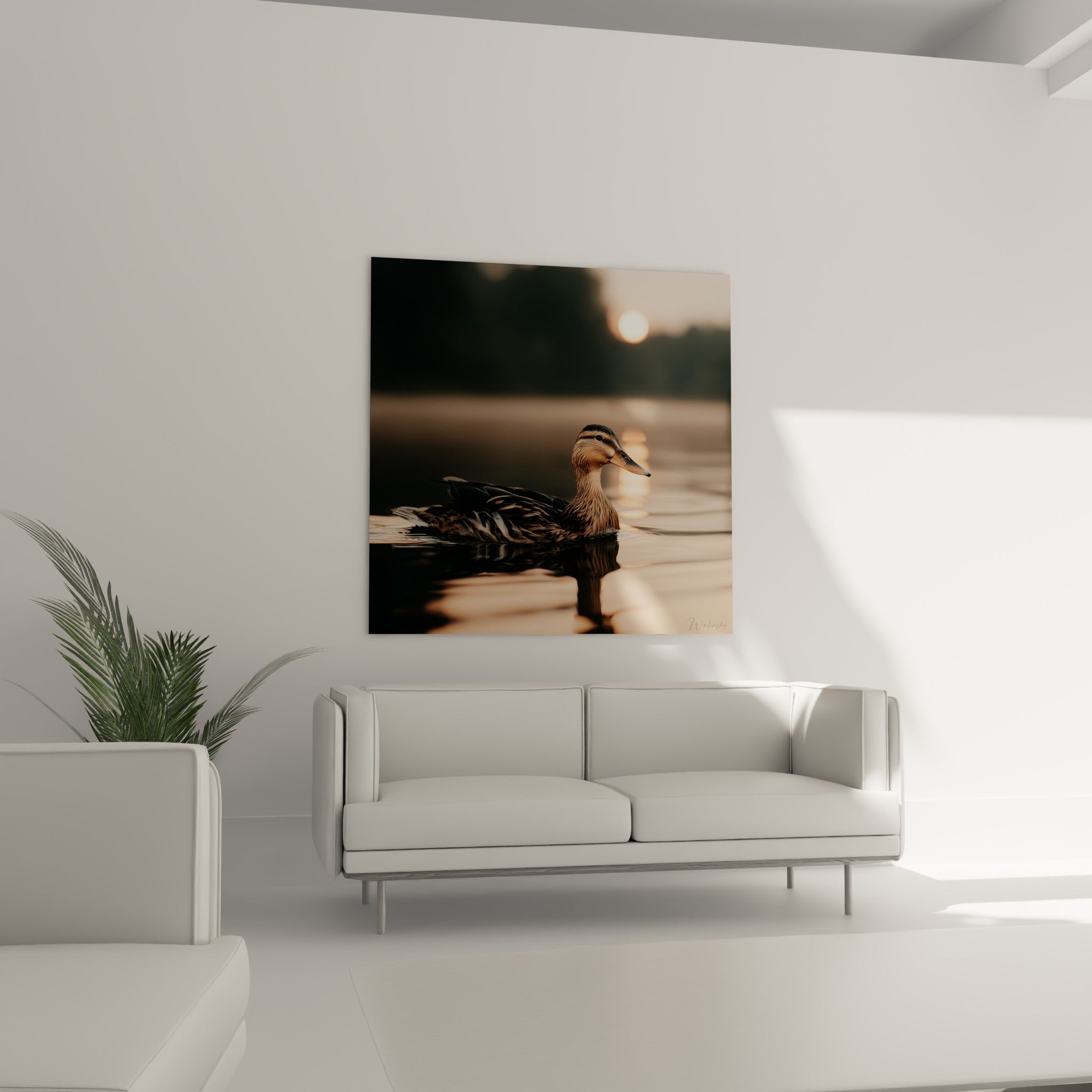 Reflet doré du canard sur l'eau immobile, au-dessus d'un canapé dans un salon lumineux