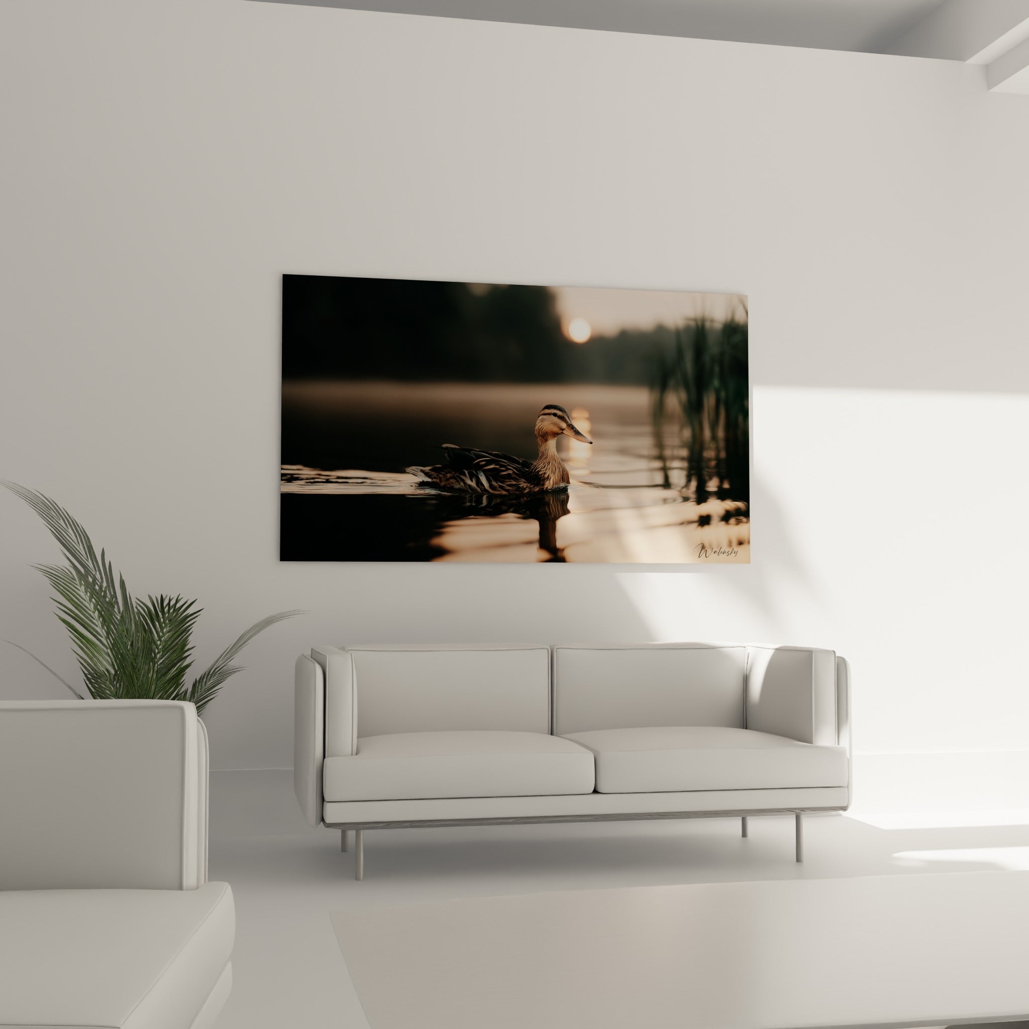 Canard ocre et anthracite voguant sur une eau brumeuse, au-dessus d'un canapé dans un salon lumineux