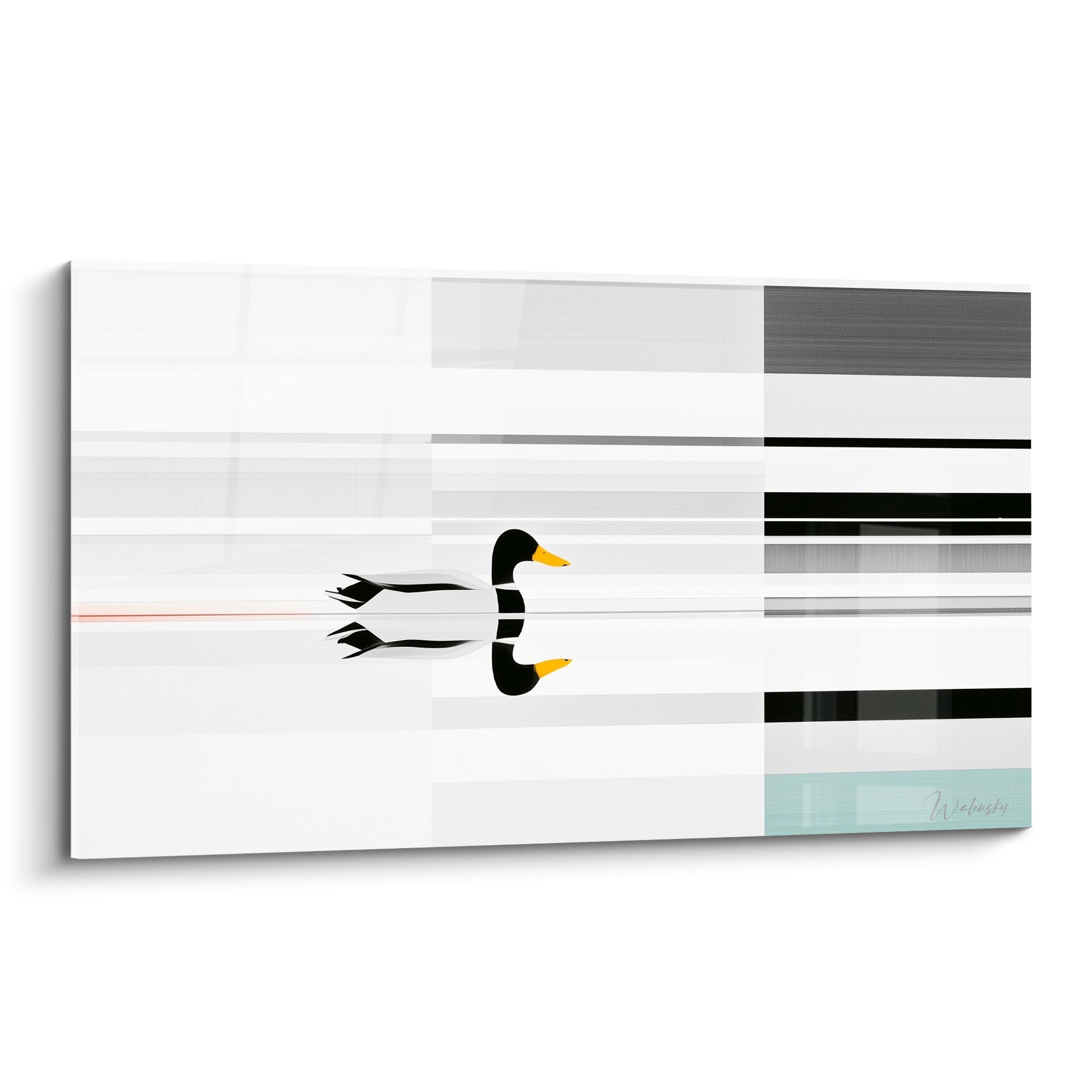 Canard blanc et noir au bec doré flottant sur une eau grise aux bandes graphiques