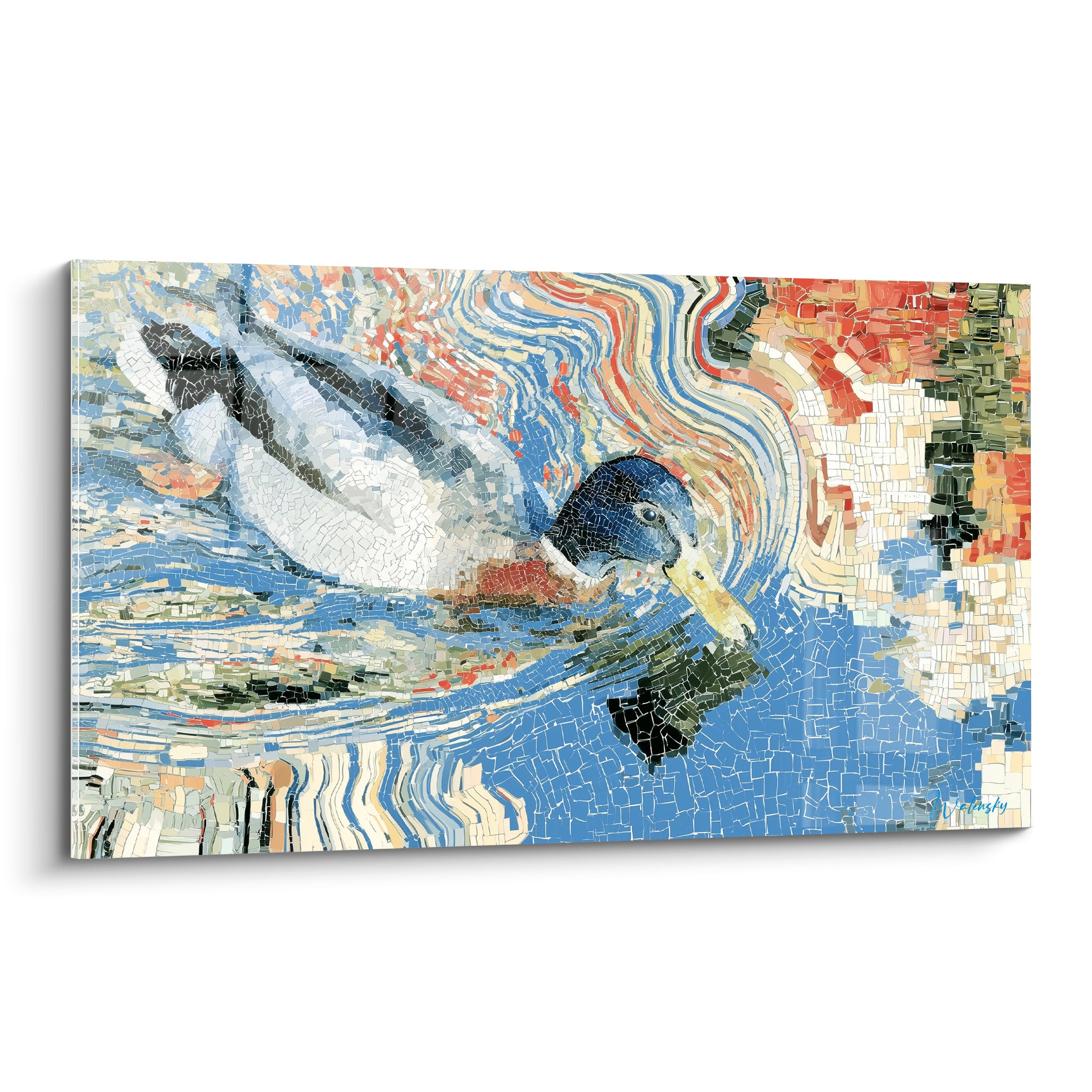 Colvert bleu marine et blanc nageant, plumage mosaïqué, eau terracotta tourbillonnante