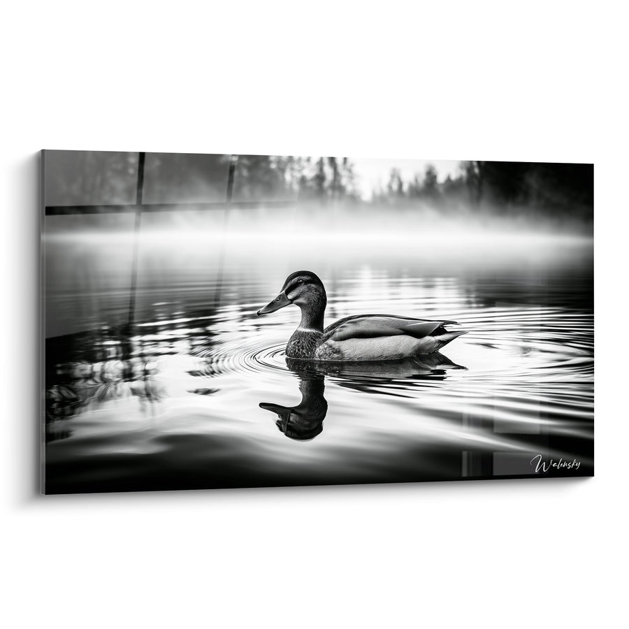 Tableau Canard gris et noir sur lac brumeux - Reflet dans la brume - Edition Canard