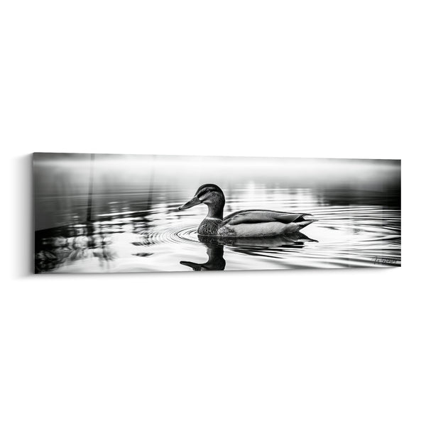 Grauton-Tabelle grau und weiß unter verschwommenen Schilf - Schwarzweißfotografie - Ente-Edition