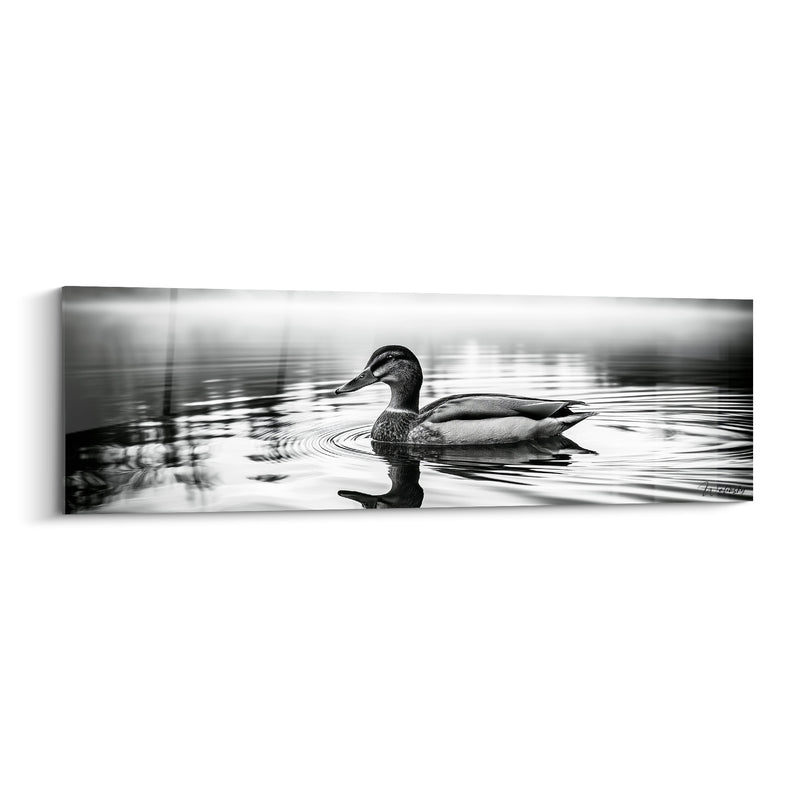 Tableau Colvert gris et blanc parmi les roseaux flous - Photographie en noir et blanc - Edition Canard