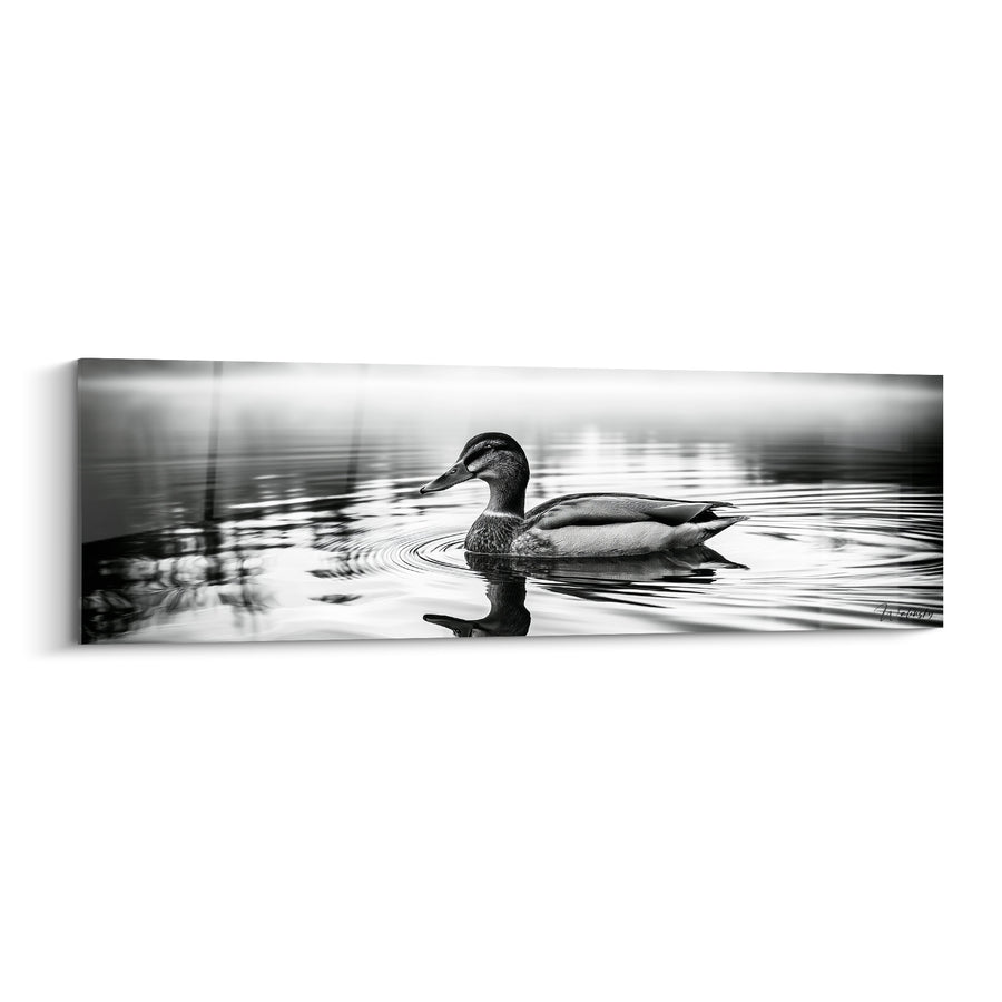 Tabla Pato verde grisáceo y blanco entre juncos borrosos - Fotografía en blanco y negro - Edición Canard