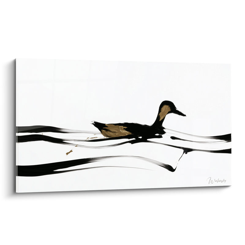 Tableau Canard noir aux reflets ocre sur eau épurée - Traversée silencieuse - Edition Canard