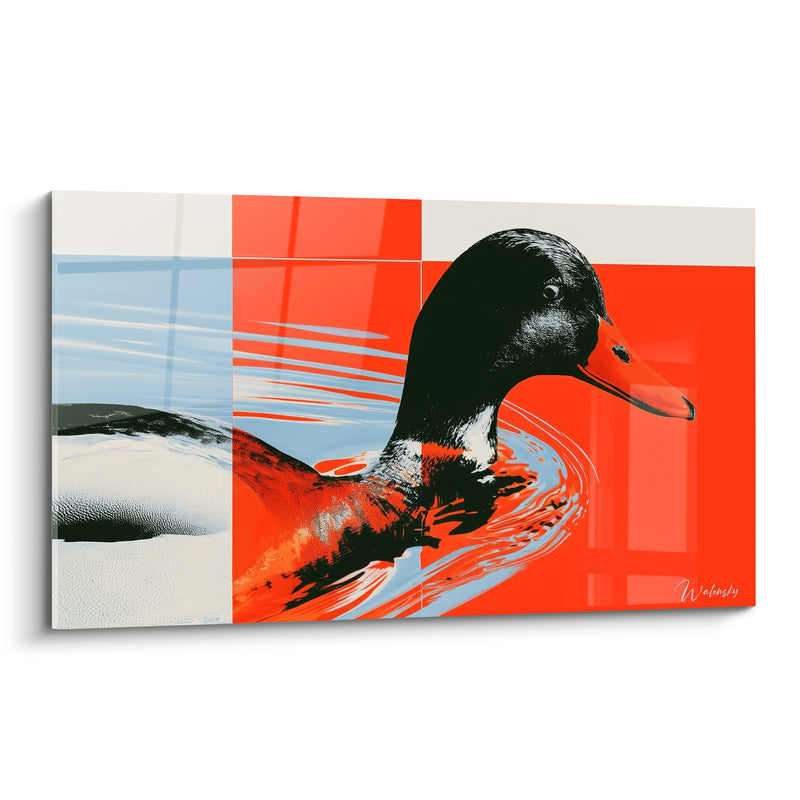 Tableau Canard nageant à la tête noire orangée - Glissade colorée - Edition Canard