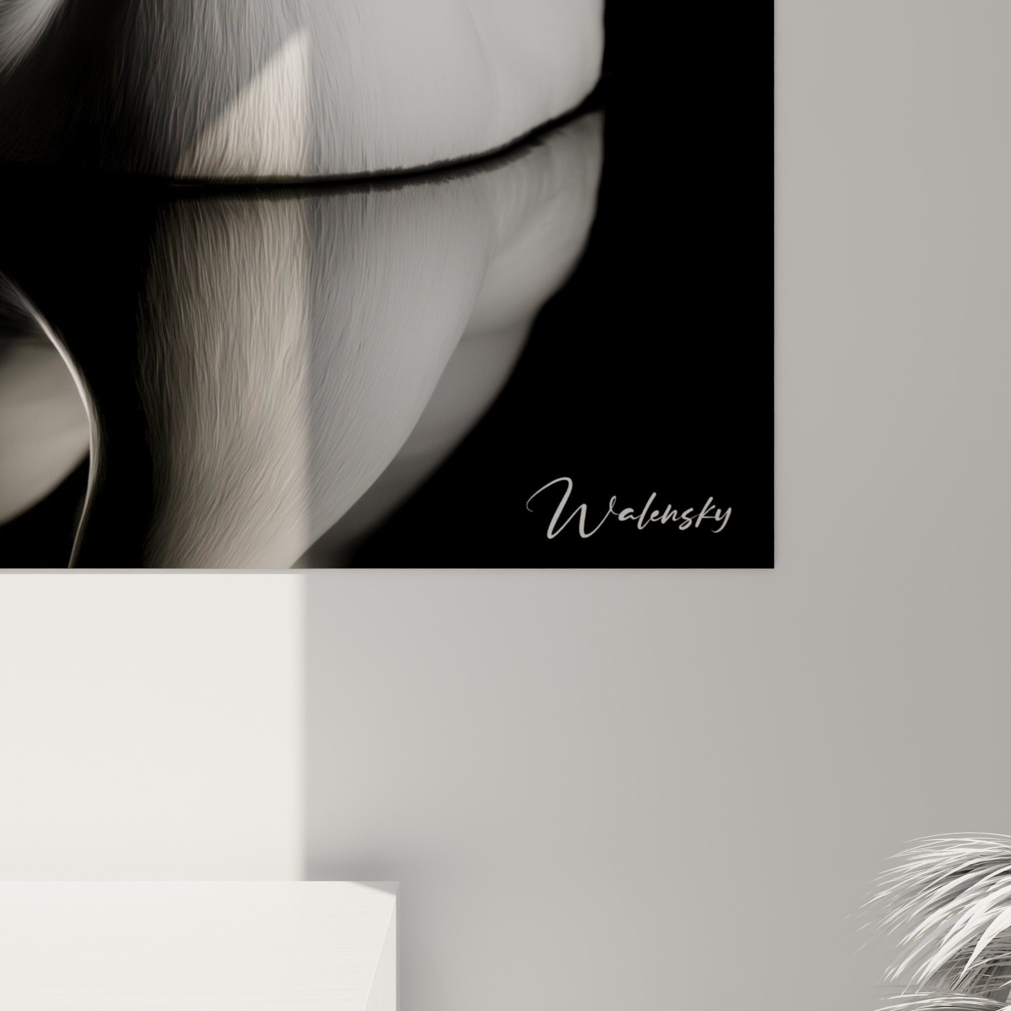 Grain fin du plumage blanc et nuances de gris sculptées, détail rapproché du tirage sur toile