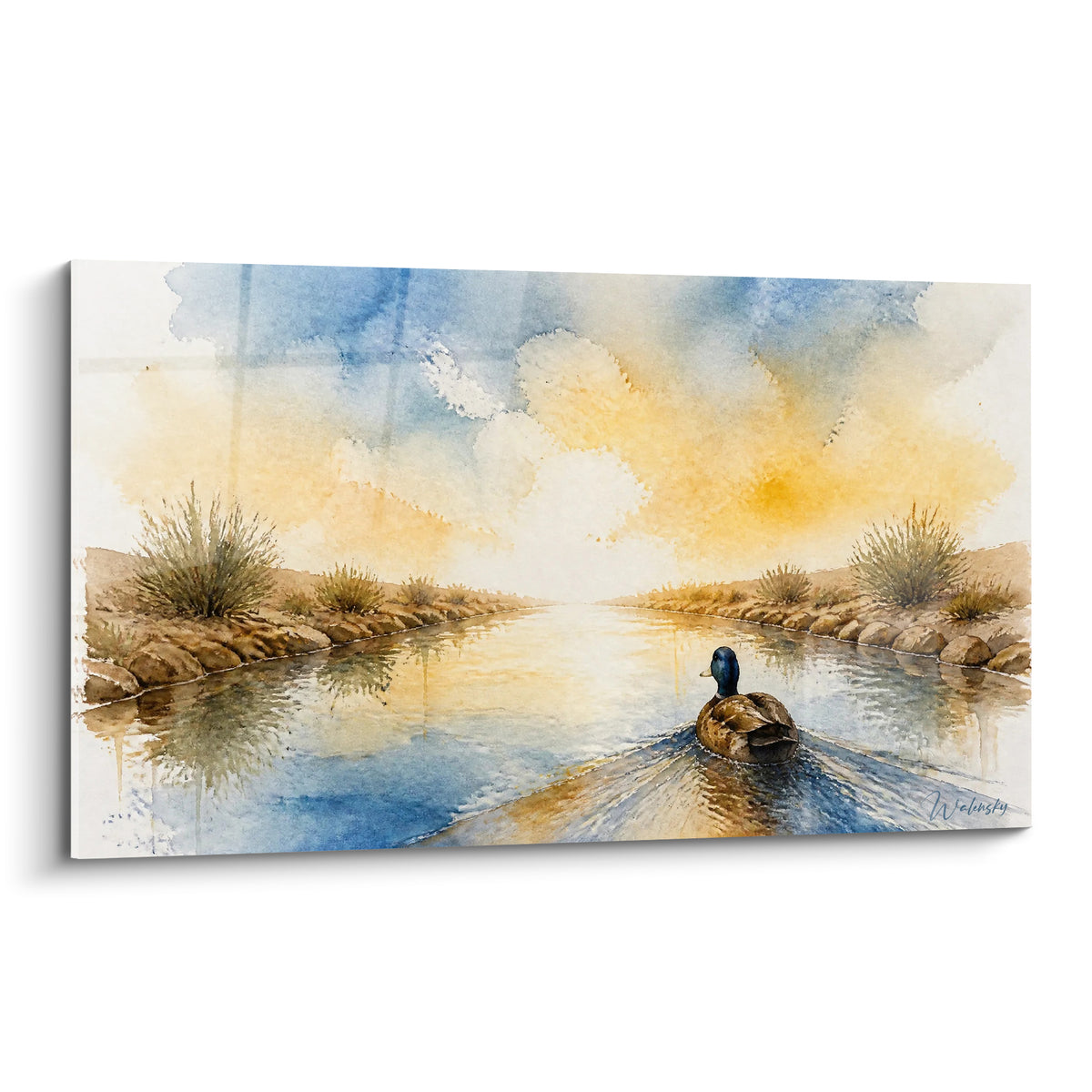 Canard brun et bleu marine glissant sur une rivière aux reflets dorés et ciel pastel